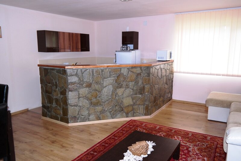 Slanic, casa de vacanta, mica pensiune, P+1E, an 2014